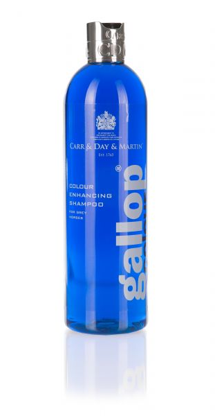Carr Day Martin Gallop Colour Shampoo
