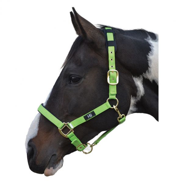 Hy Deluxe Padded Head Collar