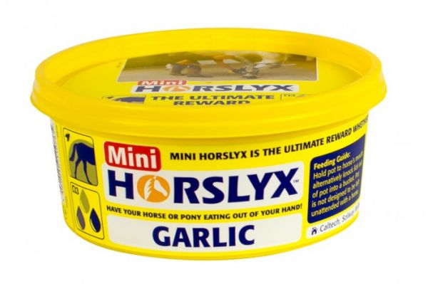 Mini Horslyx Garlic 650g 