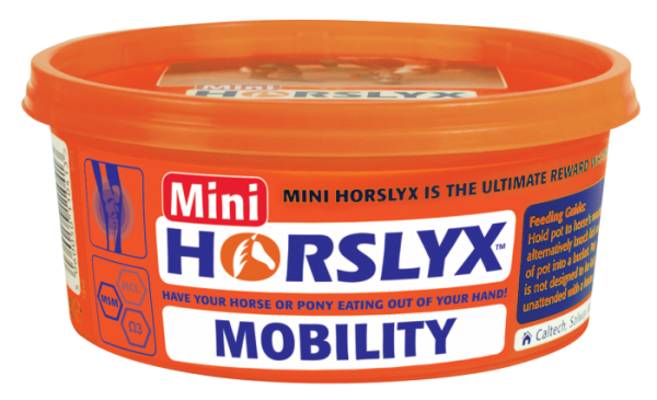 Mini Horslyx Mobility 650g