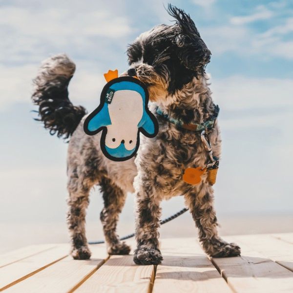 Beco Recycled Rough and Tough Penguin Small Dog Toy