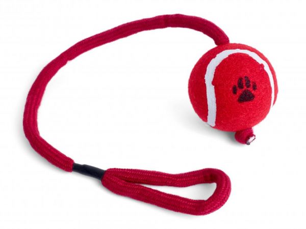 Petface Tennis Ball On A Rope