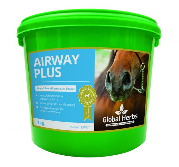 Global Herbs Airway Plus Powder Size: 1kg