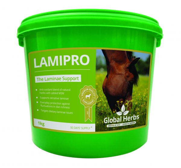 Global Herbs LamiPro Supplement