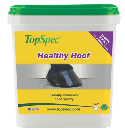 TopSpec Healthy Hoof S/O