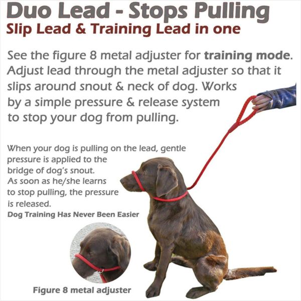 Reflective Slip Dog Lead with Figure 8 Training Aid