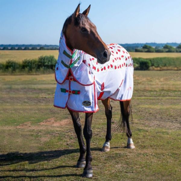 Gallop Strawberry & Cherry Fly Rug