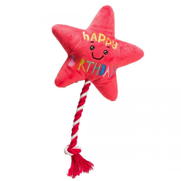 House of Paws Star Balloon With Rope Toy