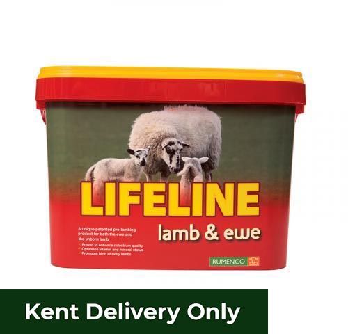 Lifeline Lamb & Ewe Lick Bucket