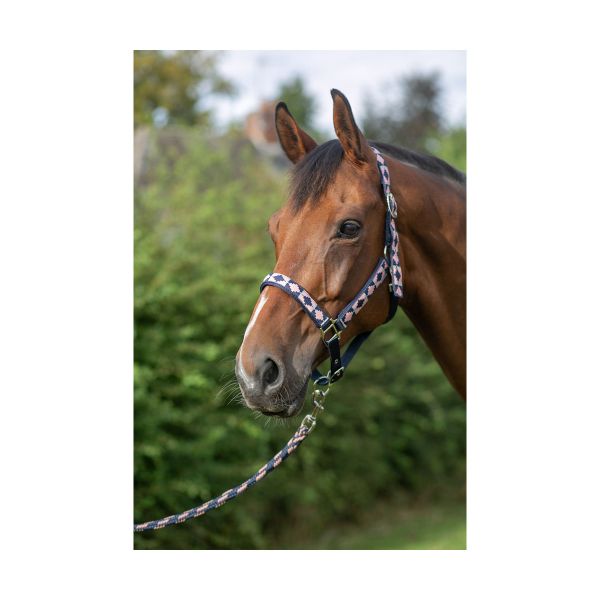Hy Equestrian Woven Polo Headcollar and Lead Rope