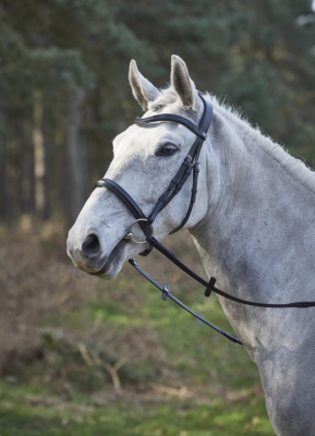 GFS Simplicity Bridle with Rubber Reins
