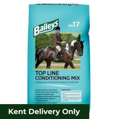 Baileys No.17 Top Line Conditioning Mix