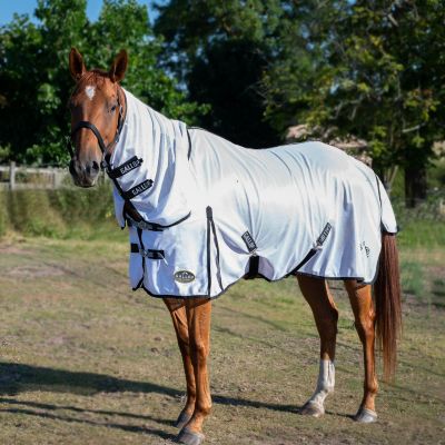 *New* Gallop Classic Fly Combo Rug
