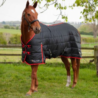 Gallop Trojan Black/Red Stable Rug 200g