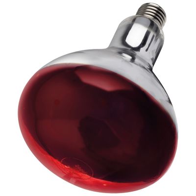 Intelec Hard Glass Infra-Red Bulb Ruby - 250 W 
