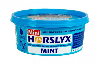 Mini Horslyx Mint 650g 