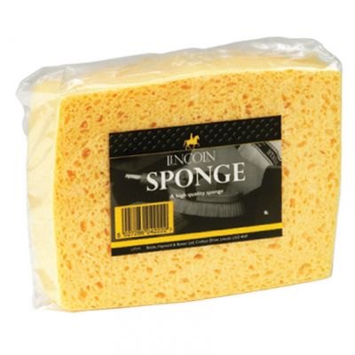 Lincoln Sponge 