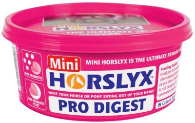 Mini Horslyx Pro Digest 650g 