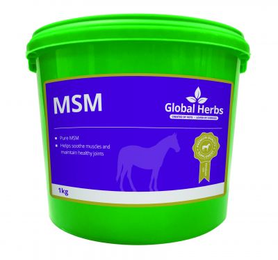 Global Herbs MSM Size: 1kg