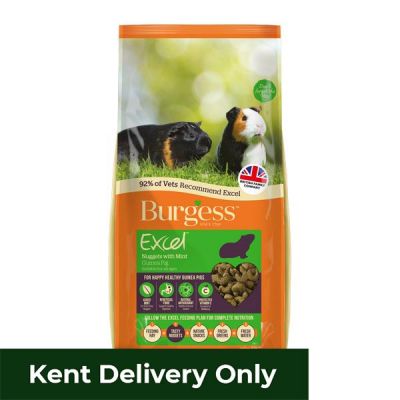 Burgess Excel Adult Guinea Pig Nuggets with Mint 2kg 