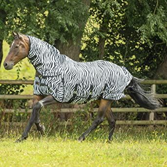 Gallop Zebra Combo Belly Flap Fly Rug