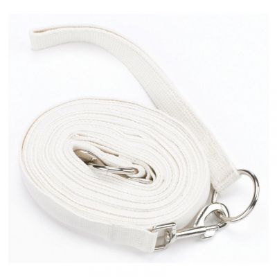 Hy Draw Reins With Clips Colour: White