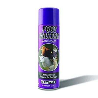 Foot Master Aerosol Spray With Violet 500ml