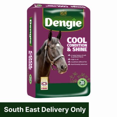 Dengie Cool Condition & Shine *£1.50 off*