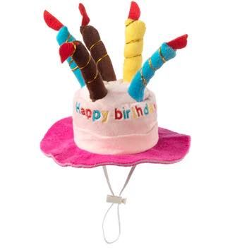 House of Paws Birthday Candle Cake Hat