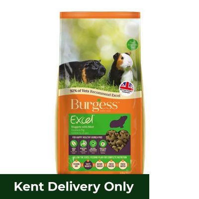 Burgess Excel Adult Guinea Pig Nuggets with Mint 10kg 