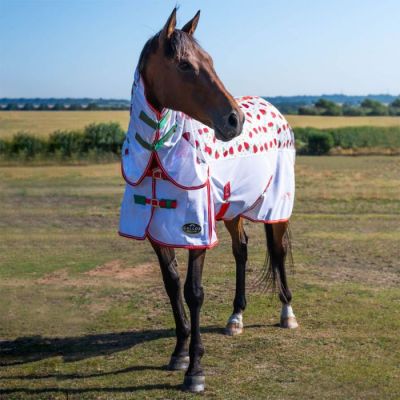*New* Gallop Strawberry & Cherry Fly Rug