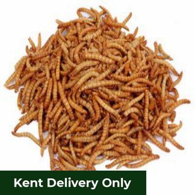 Mealworms 12.55kg