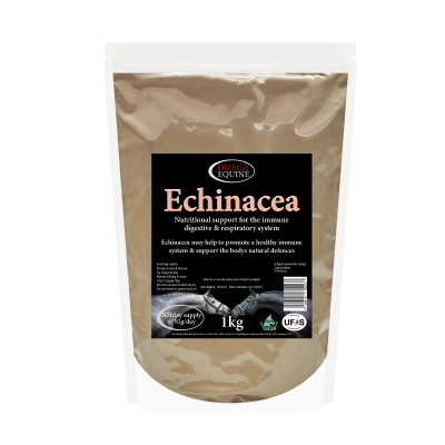 Omega Equine Echinacea