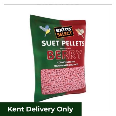 Extra Select Hi Energy Suet Pellets Berry Refill Bag 3kg