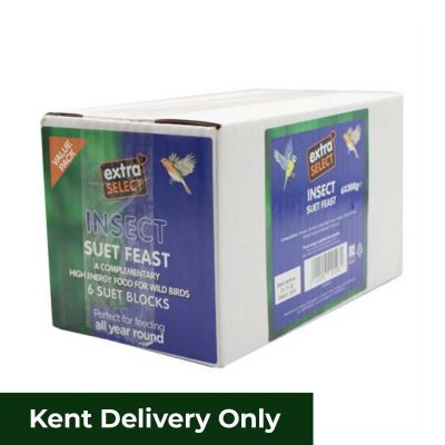 Extra Select Insect Suet Blocks 10x300g