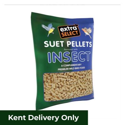 Extra Select Hi Energy Suet Pellets Insect Refill Bag 3kg