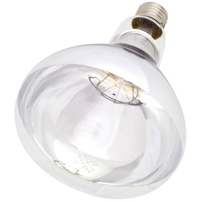 Intelec Hard Glass Infra-Red Bulb Lamp Clear - 250 W
