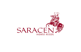 Saracen